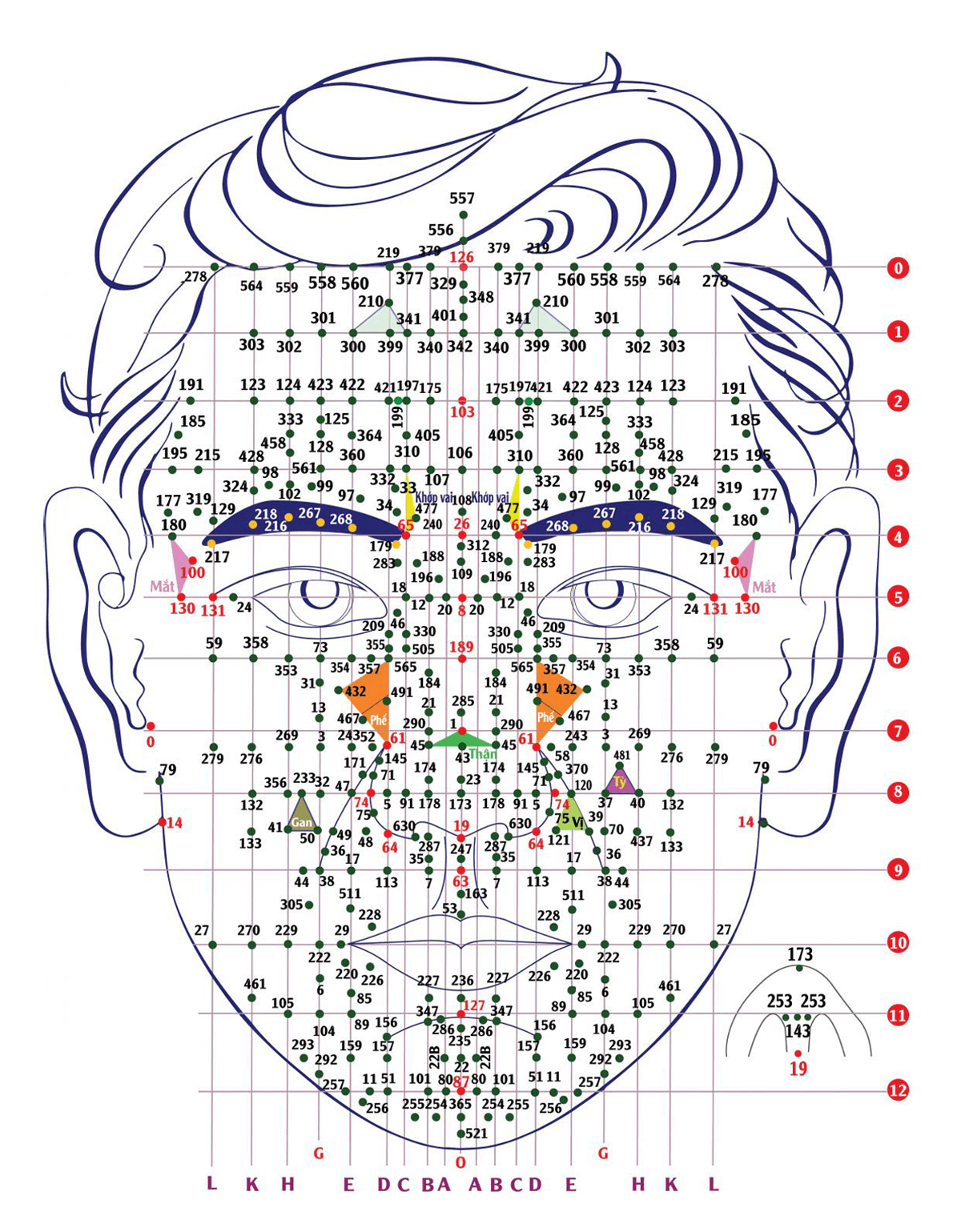 huyệt diện chẩn nhìn thẳng